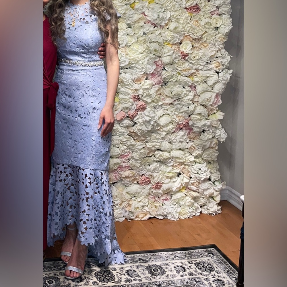 Lace cap sleeve mermaid shape dress